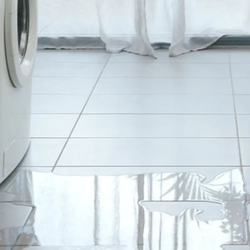 Appliance Leak Cleanup in Massanutten, VA