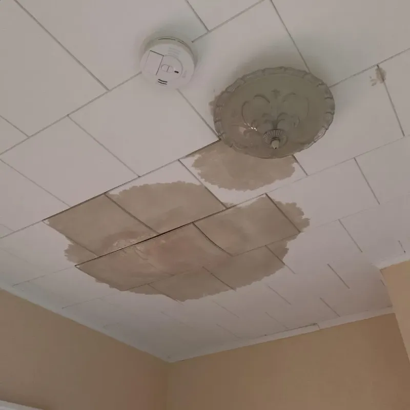 Ceiling Water Damage Repair in Massanutten, VA